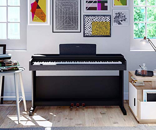 Contradicción incondicional Prefacio Elige tu pianos digital para nivel principiante 🎹 Musisol